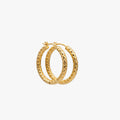 Dani Hoops 18k