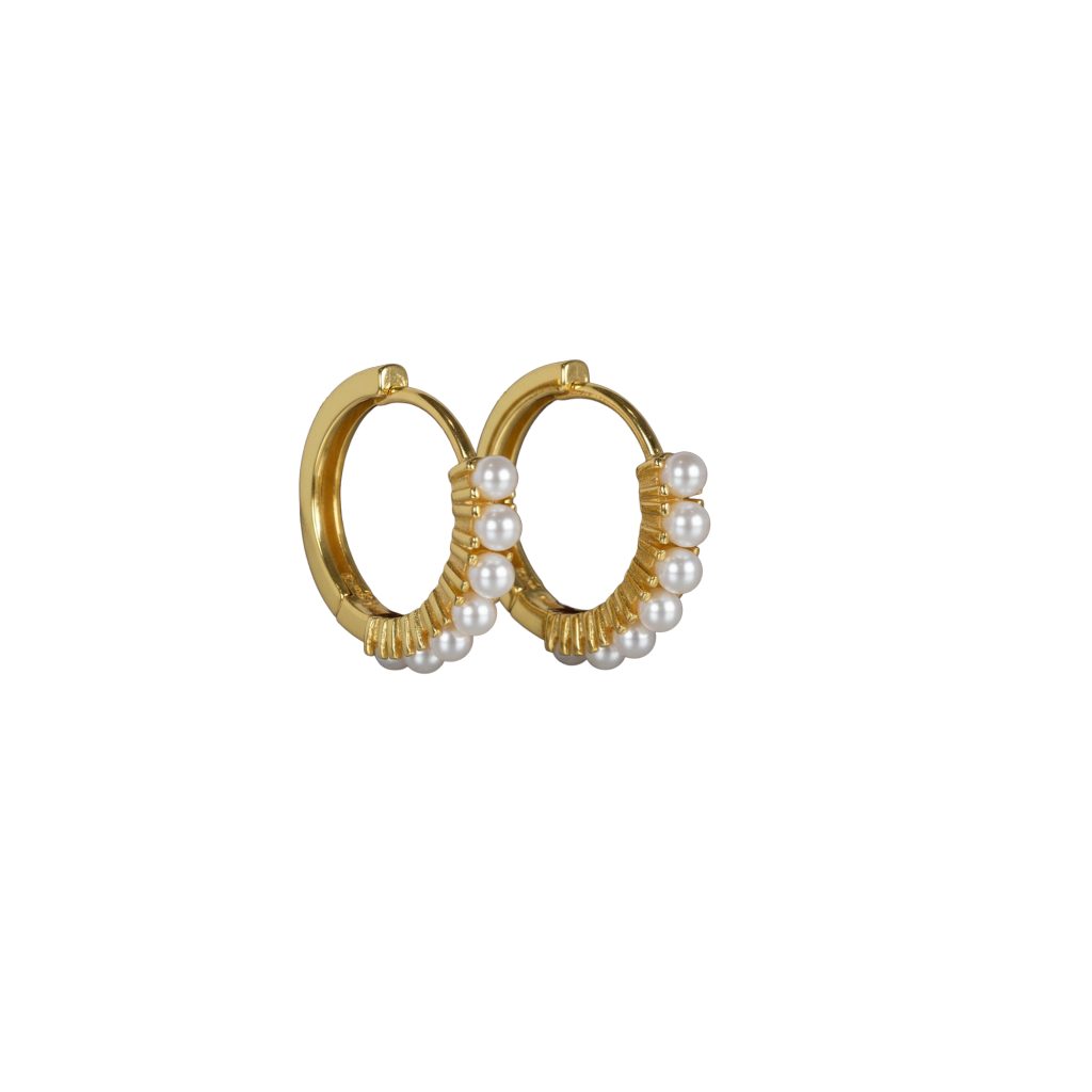 Ilan Huggies Earrings