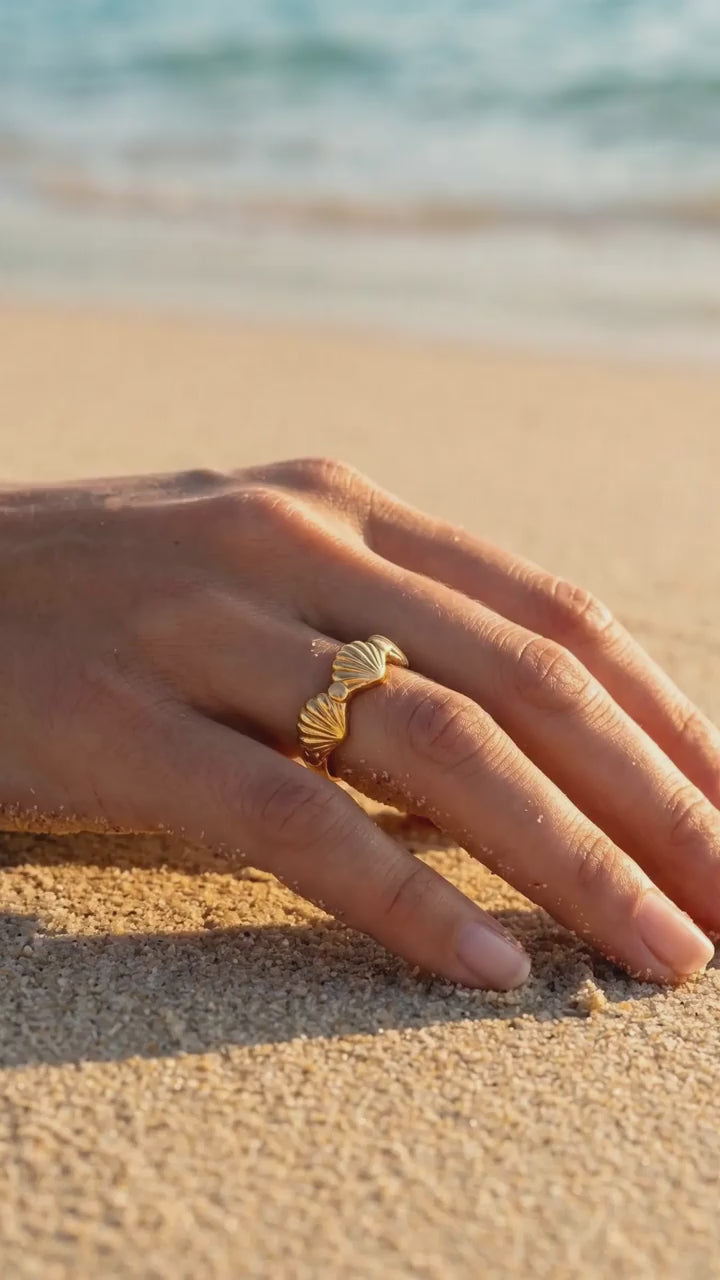 Scallop Shell Ring Content